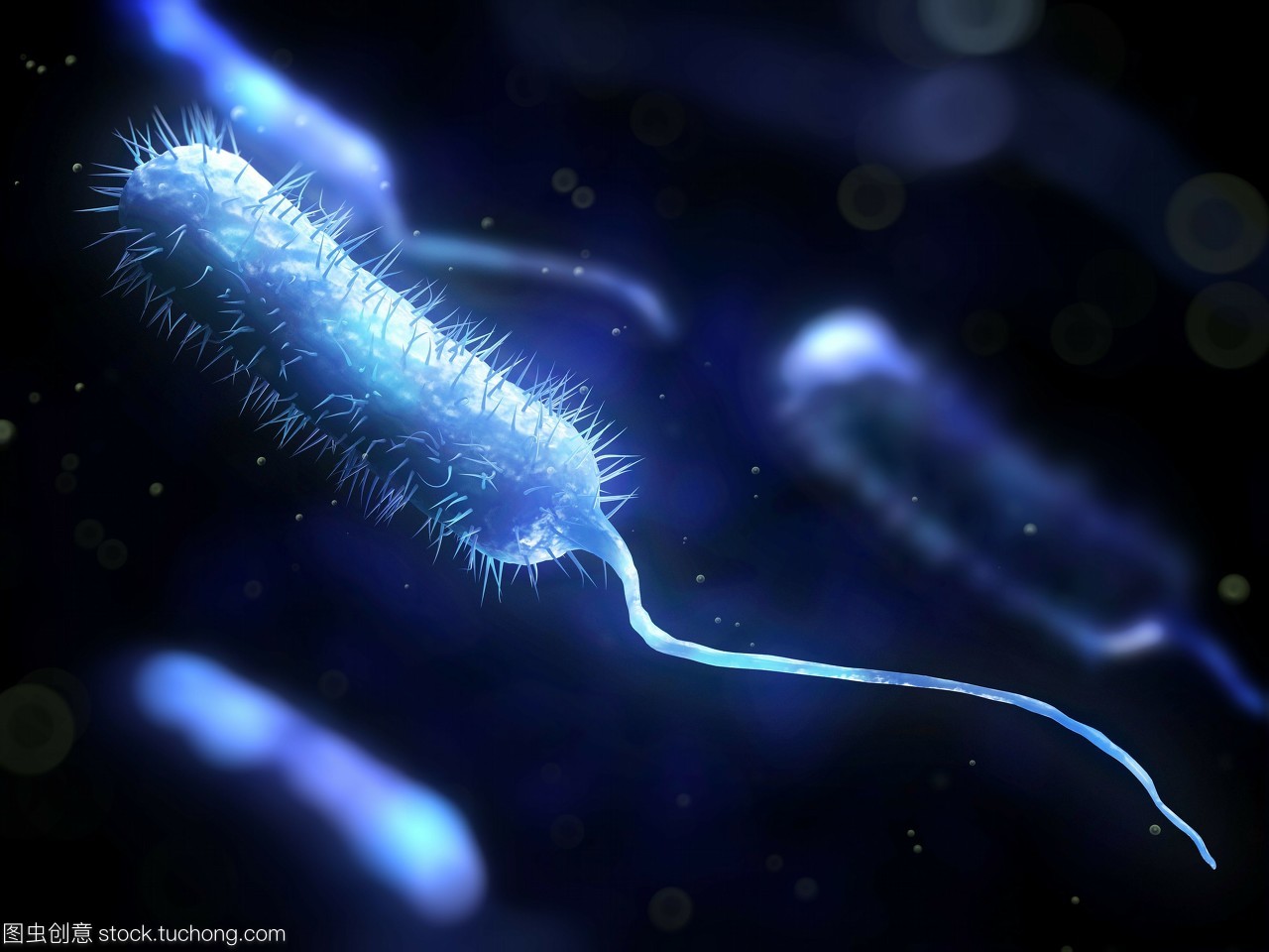 危險,粘貼,微生物,生物學(xué),概念,細菌學(xué),風(fēng)險,棍,healthcare,artwork,手機,illustration,科技醫(yī)療,microbiology,棒,rod shape,infection,桿,細菌性的,植物學(xué),病菌,rod shaped,活力,dangerous,活躍,細菌,mobile,木棒,醫(yī)療保健,疾病,rod,生長,conceptual,尾巴,bacilli,pathogen,藝術(shù)品,微生物學(xué),bacillus,concept,bacteriology,microbe,active,