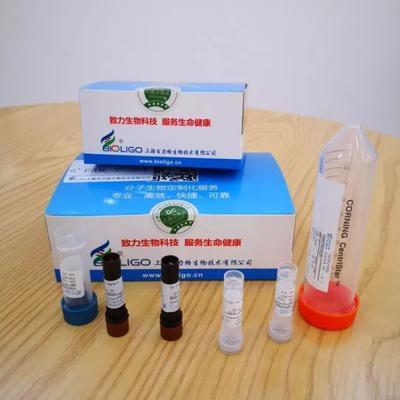 給力!抗擊新冠肺炎,長三角G60科創(chuàng)走廊松江企業(yè)貢獻核心技術產(chǎn)品